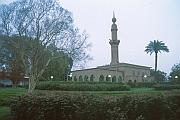 尼羅河畔一間清真寺