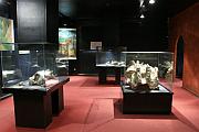 化石展廳