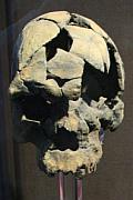 較近代 (16 萬年前) 的原始人骸骨