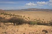 Nechisar 國家公園