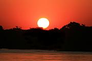 Zambezi River 的日落