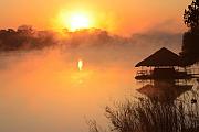 Zambezi River 的日出