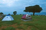 Ngorongoro 火山口之上的 Simba-A 營地
