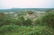 人類發祥地之一的 Oduvai Gorge