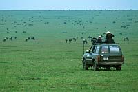 非洲野生動物之旅：Safari in Africa