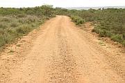 Bontebok 國家公園的泥石路